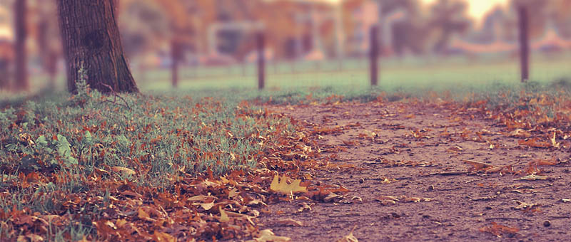 云呼电话轰炸机网页版