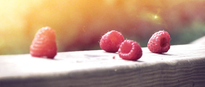 在线短信轰炸平台